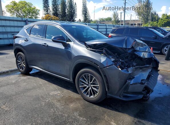 2T2GGCEZ7PC023144 2023 LEXUS NX Gray 