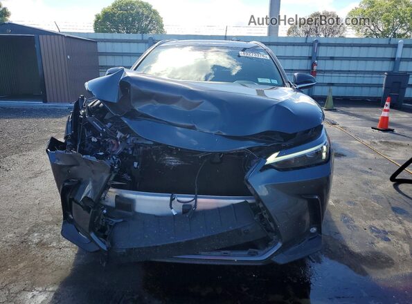 2T2GGCEZ7PC023144 2023 LEXUS NX Gray 