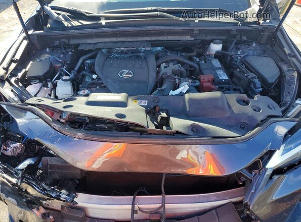 2T2GGCEZ7PC023144 2023 LEXUS NX Gray 
