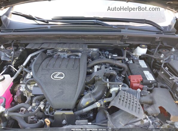 2T2GGCEZ7PC025945 2023 LEXUS NX 350 Черный Вид сзади