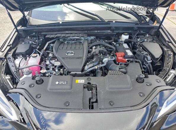 2T2GGCEZ7TC097691 2026 LEXUS NX Черный Вид задней части салона