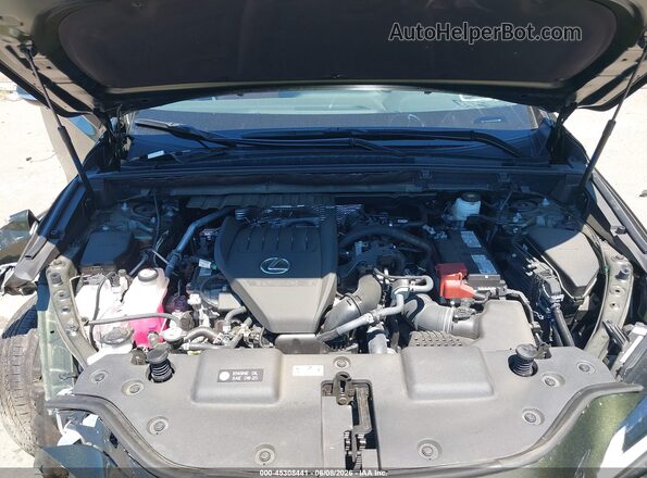 2T2GGCEZ8SC075083 2025 LEXUS NX 350 Green Rear view