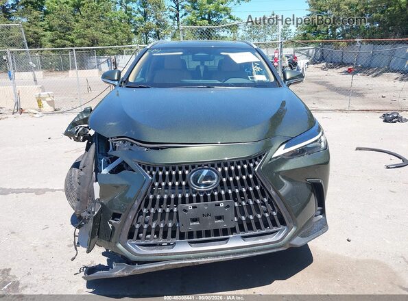 2T2GGCEZ8SC075083 2025 LEXUS NX 350 Green Rear interior view