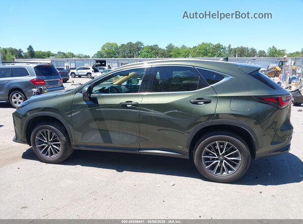 2T2GGCEZ8SC075083 2025 LEXUS NX 350 Green 