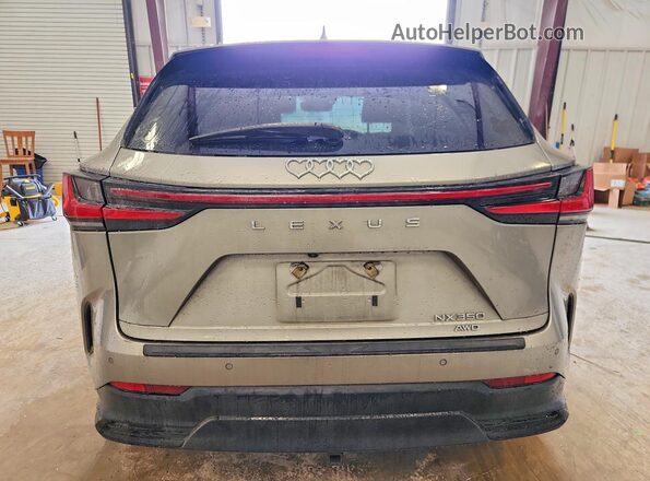 2T2GGCEZ9PC026109 2023 LEXUS NX Silver Widok z tyłu