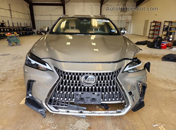 2T2GGCEZ9PC026109 2023 LEXUS NX Silver Widok z przodu