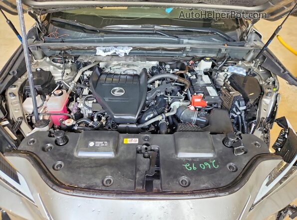 2T2GGCEZ9PC026109 2023 LEXUS NX Silver Widok wnętrza z tyłu