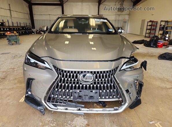 2T2GGCEZ9PC026109 2023 LEXUS NX Silver Widok wnętrza 360 stopni