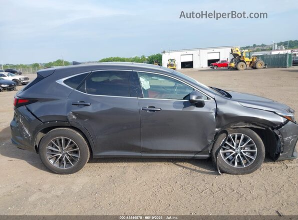2T2GGCEZ9SC071236 2025 LEXUS NX 350 Gray Սալոնի հետևի տեսք