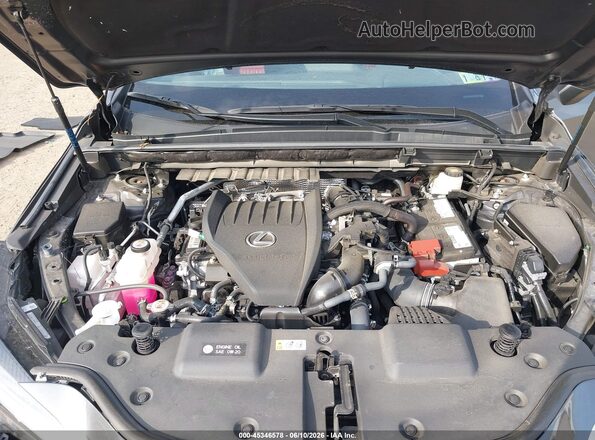 2T2GGCEZ9SC071236 2025 LEXUS NX 350 Gray Հետևի տեսք