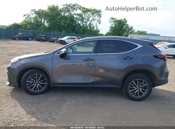 2T2GGCEZ9SC071236 2025 LEXUS NX 350 Gray Սալոնի 360 աստիճան տեսք