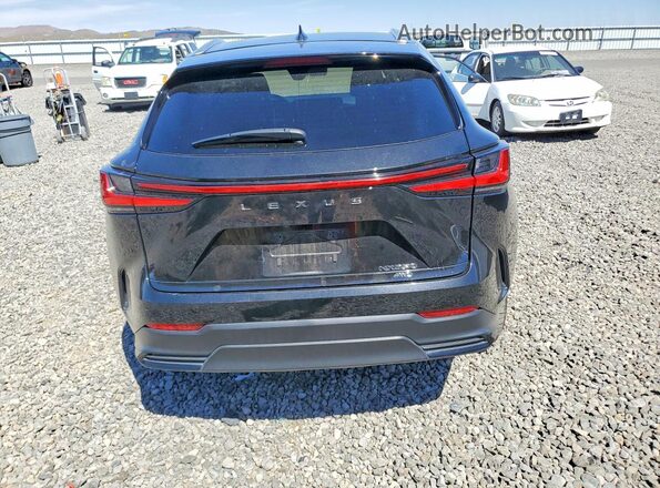 2T2GGCEZXPC020545 2023 LEXUS NX Black Vista trasera