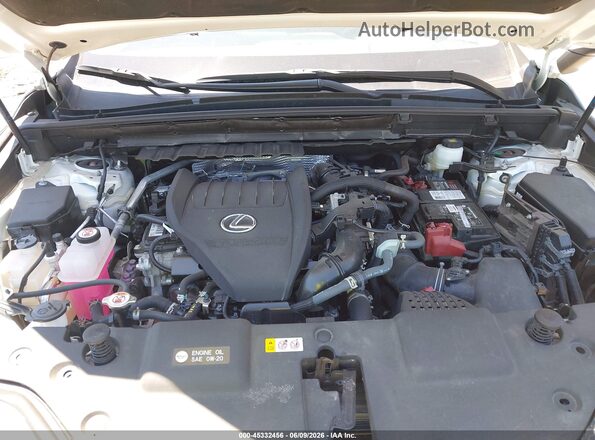 2T2GGCEZXRC052446 2024 LEXUS NX 350 White Vista trasera