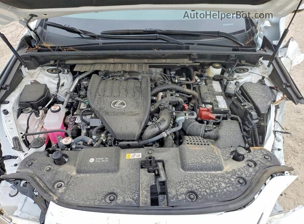 2T2GGCEZXTC097720 2026 LEXUS NX Silver Engine compartment view
