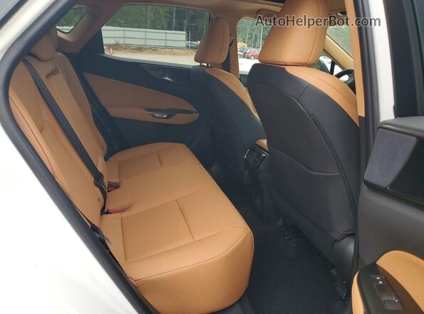 2T2GGCEZXTC107095 2026 LEXUS NX White Vista interior trasera
