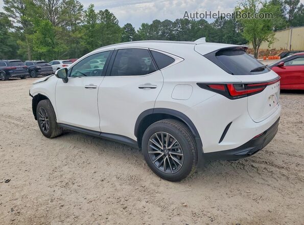 2T2GGCEZXTC107095 2026 LEXUS NX White Trasero izquierdo