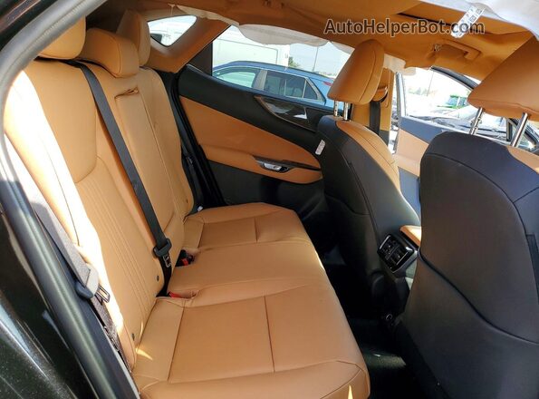 2T2GKCEZ1TC070369 2026 LEXUS NX Black Vista interior trasera