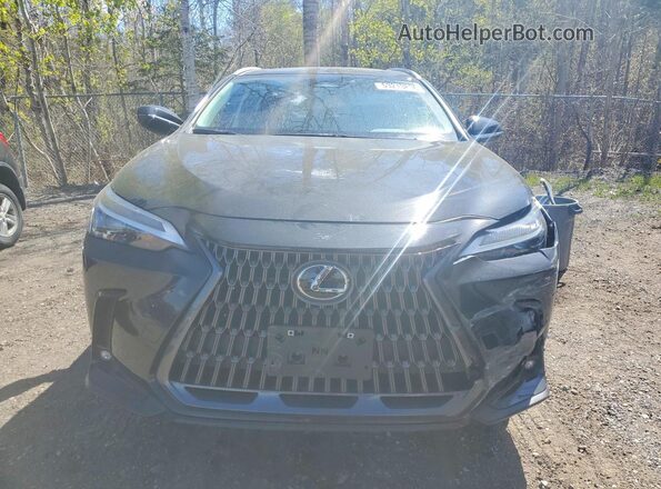 2T2GKCEZ4RC018212 2024 LEXUS NX Black Front view