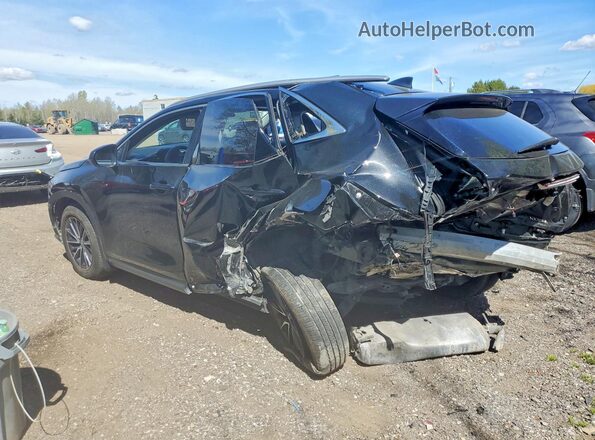 2T2GKCEZ4RC018212 2024 LEXUS NX Black Rear left