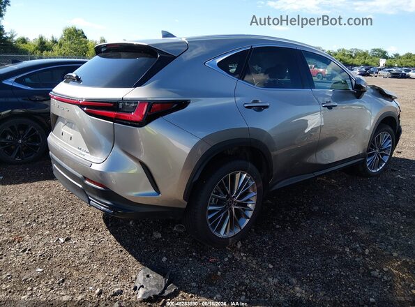 2T2GKCEZ7TC062860 2026 LEXUS NX 350H Gray Tył prawy
