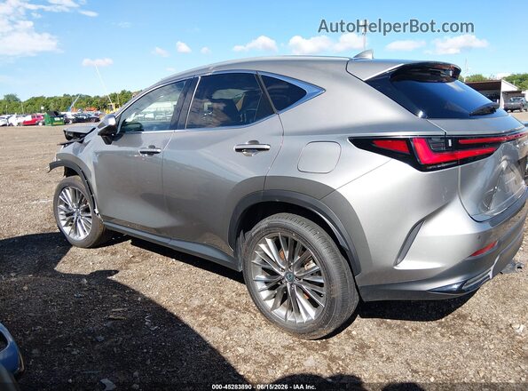 2T2GKCEZ7TC062860 2026 LEXUS NX 350H Gray Widok wnętrza 360 stopni