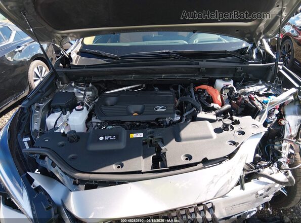 2T2GKCEZ7TC062860 2026 LEXUS NX 350H Gray Widok z tyłu