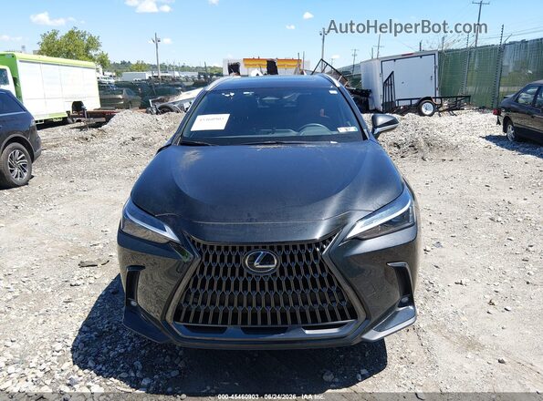 2T2GKCEZXSC043878 2025 LEXUS NX 350H Black Instrument cluster view