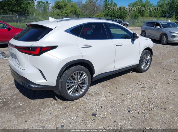2T2HGCEZ1SC082686 2025 LEXUS NX 350 White 