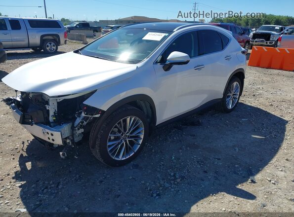 2T2HGCEZ1SC082686 2025 LEXUS NX 350 White 