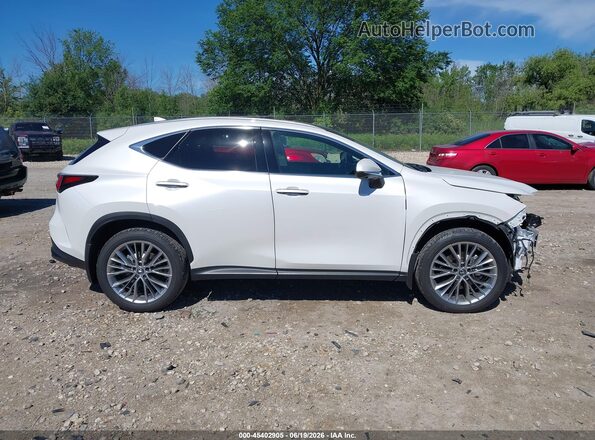 2T2HGCEZ1SC082686 2025 LEXUS NX 350 White 