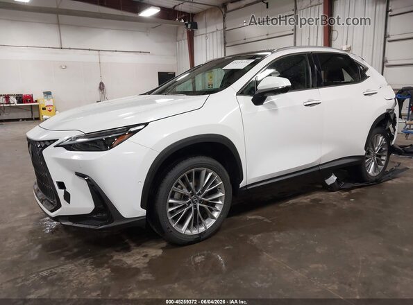 2T2HGCEZ5TC107297 2026 LEXUS NX 350 White Vista tres cuartos delantera izquierda