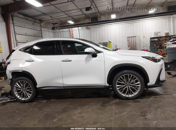 2T2HGCEZ5TC107297 2026 LEXUS NX 350 White Vista interior trasera