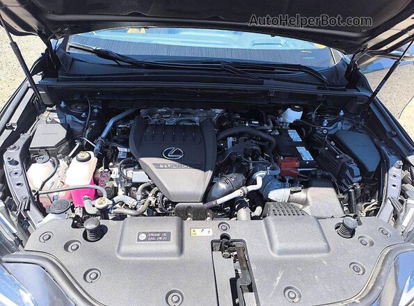 2T2HGCEZ6RC047359 2024 LEXUS NX Серый Вид наклейки с VIN-кодом