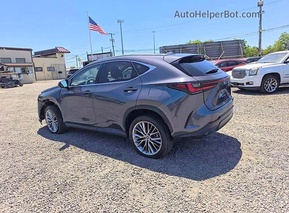 2T2HGCEZ6RC047359 2024 LEXUS NX Серый Задняя левая четверть