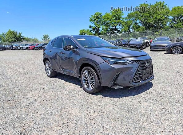 2T2HGCEZ6RC047359 2024 LEXUS NX Серый Задняя правая четверть
