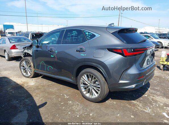 2T2HGCEZ8RC056094 2024 LEXUS NX 350 Gray უკანა მარცხენა
