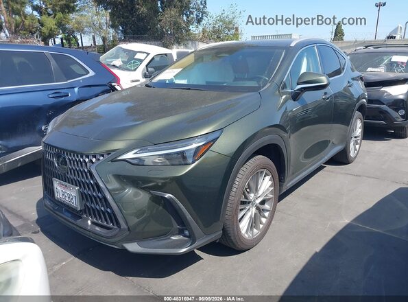 2T2HGCEZXRC055898 2024 LEXUS NX 350 Green Передня ліва чверть