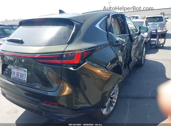 2T2HGCEZXRC055898 2024 LEXUS NX 350 Green Задня права чверть