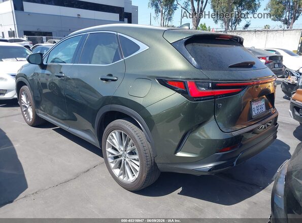 2T2HGCEZXRC055898 2024 LEXUS NX 350 Green Задня ліва чверть