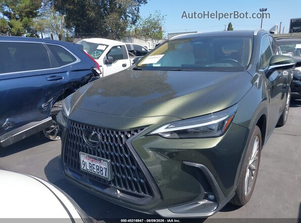 2T2HGCEZXRC055898 2024 LEXUS NX 350 Green Вид задньої частини салону