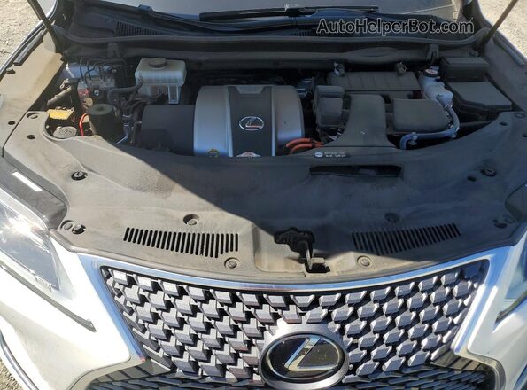 2T2HGMDAXLC049883 2020 LEXUS RX White 