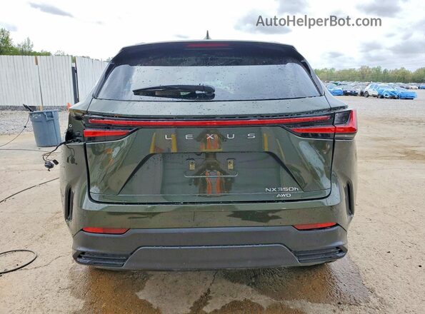 2T2HKCEZ3TC066148 2026 LEXUS NX Green Widok z tyłu