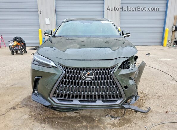 2T2HKCEZ3TC066148 2026 LEXUS NX Green Widok z przodu