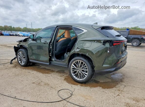 2T2HKCEZ3TC066148 2026 LEXUS NX Green Tył lewy