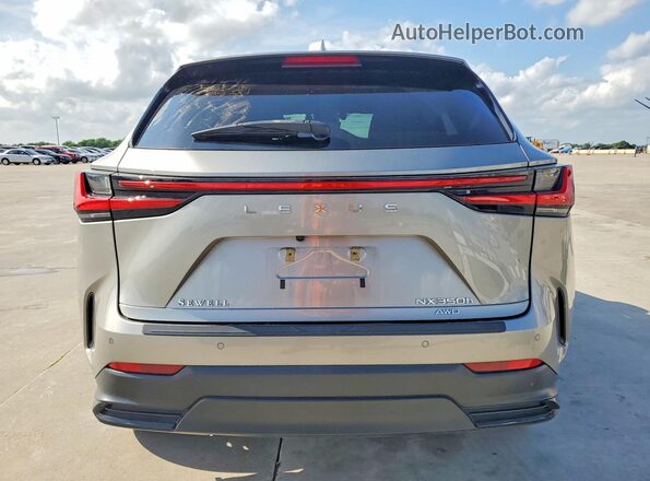 2T2HKCEZ4PC013741 2023 LEXUS NX Silver Widok z tyłu