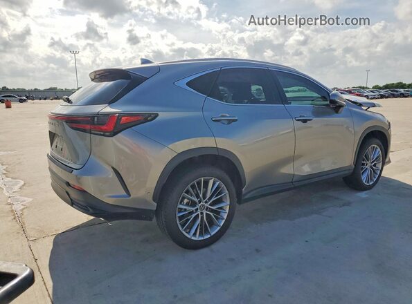 2T2HKCEZ4PC013741 2023 LEXUS NX Silver Tył prawy
