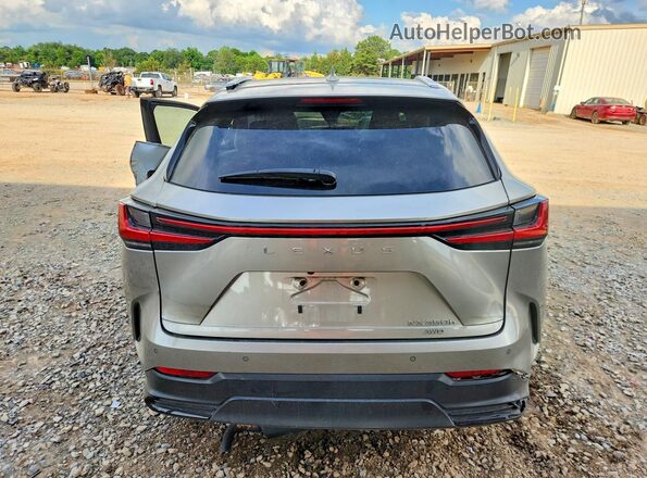 2T2HKCEZ6RC017499 2024 LEXUS NX Silver Widok z tyłu