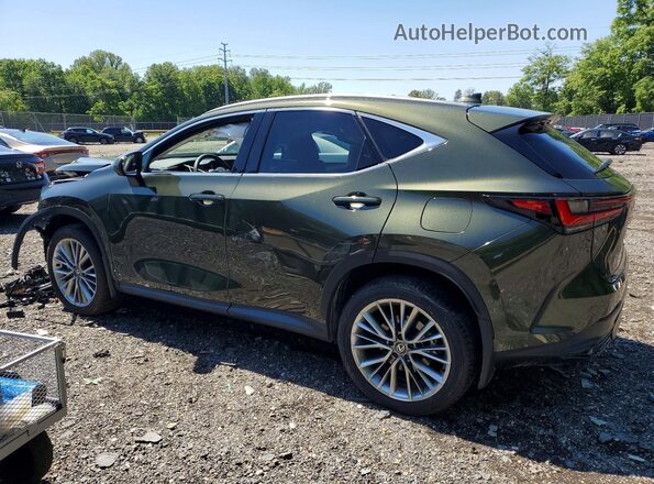 2T2HKCEZXTC066471 2026 LEXUS NX Green Հետևի ձախ