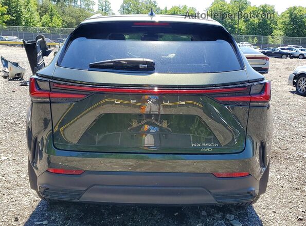 2T2HKCEZXTC066471 2026 LEXUS NX Green Հետևի տեսք