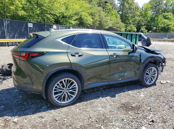 2T2HKCEZXTC066471 2026 LEXUS NX Green Հետևի աջ